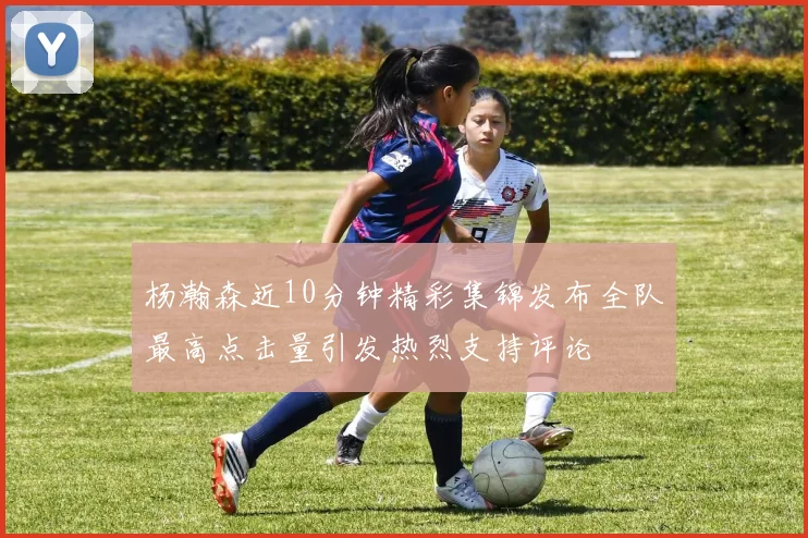 杨瀚森近10分钟精彩集锦发布全队最高点击量引发热烈支持评论